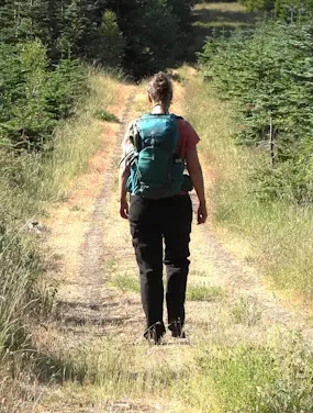 bagfra m. rygsæk i skov kk